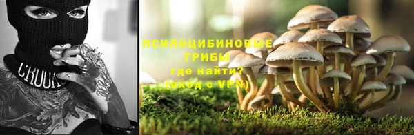 бутират Алексеевка