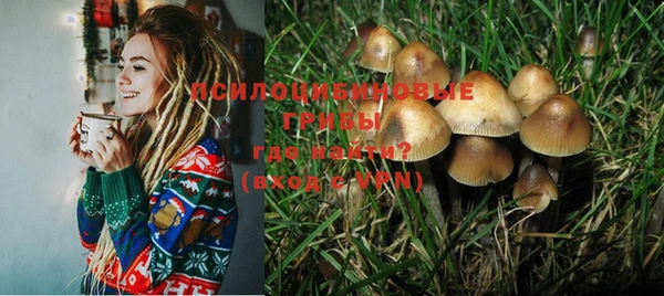 бошки Алексин