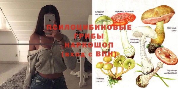 бутират Алексеевка