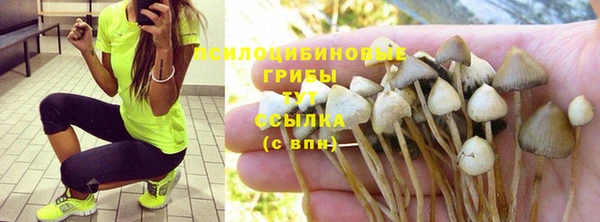 бошки Алексин