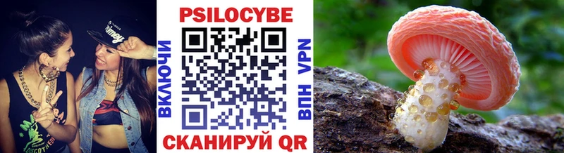 купить наркотик  mega tor  Псилоцибиновые грибы GOLDEN TEACHER  Дзержинск 