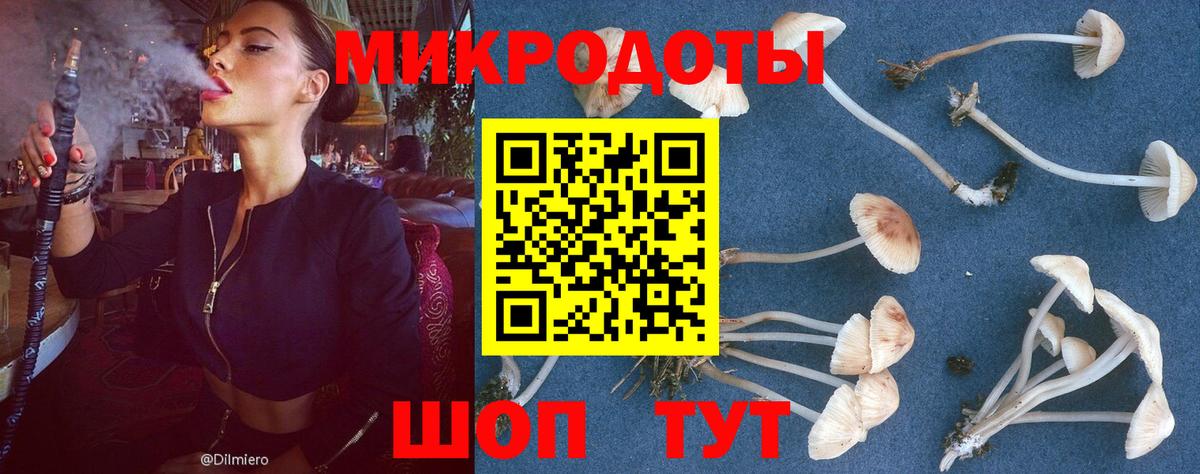 Псилоцибиновые грибы мицелий  Псилоцибиновые грибы мицелий  Дзержинск  Вход с VPN 